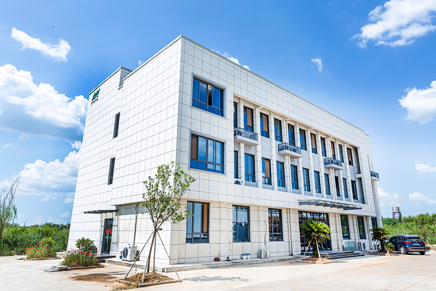 الصورة الحقيقية للشركة