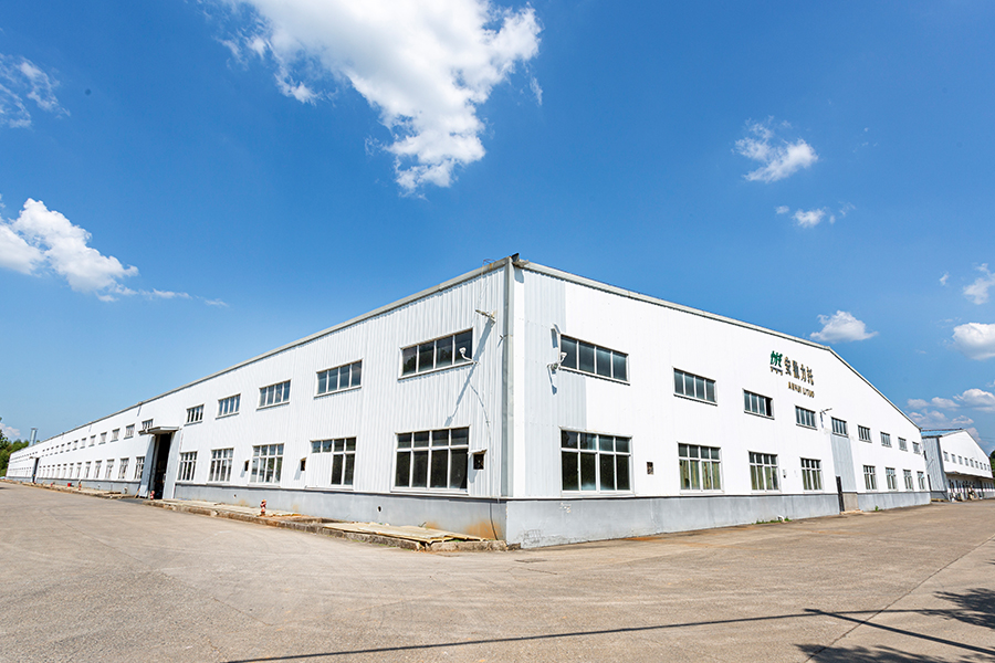 الصورة الحقيقية للشركة